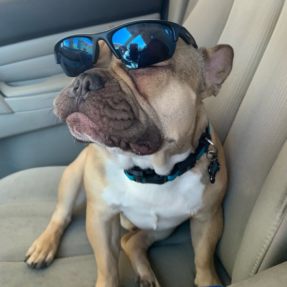 Thank Your Share Show Host - read description! - Picture 12 of 15